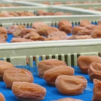 【贈答用】紀州南高梅 桃風味梅干 1000g 化粧箱入 【US24】 303446_CB90021