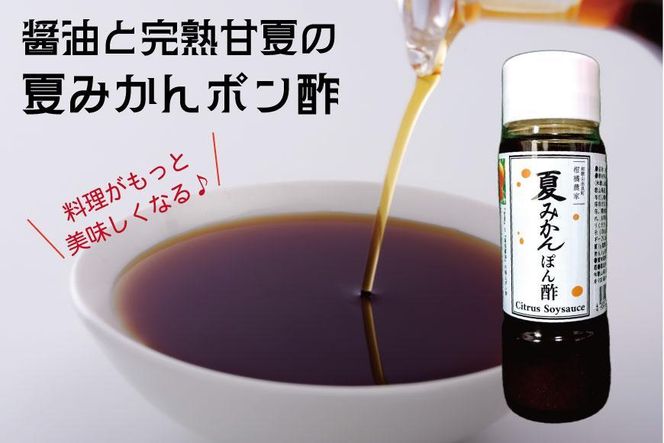 湯浅の醤油の深いコクと完熟甘夏の自然な酸味「夏みかんポン酢」【３本】 303446_CE134