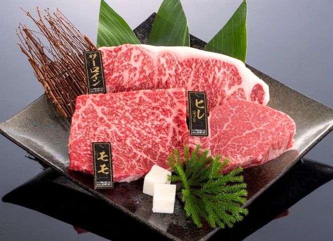 ya̎R쒬zF싍 Xe[LoGeBZbgyMT13z 303446_CF42