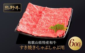 熊野牛 すき焼き・しゃぶしゃぶ 赤身スライス 600g【MT33】 303446_CF66