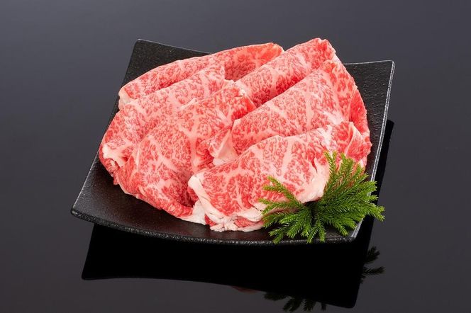 ya̎R쒬zF싍 ĂEԂ u[XXCX 400gyMT52z 303446_CF87