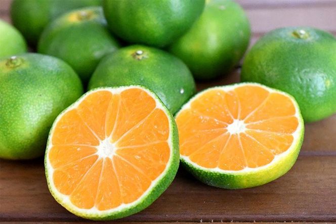 ya̎R쒬zys\za̎RRǒY RǑ݂ 3kg TCY܂(L`2S)ꂩ͂ySL1z 303446_CG90001