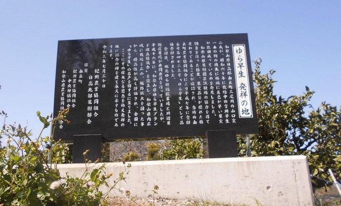 【先行予約】和歌山由良町産 由良早生みかん 約5kg サイズおまかせ(L～2S) いずれかお届け【SL2】 303446_CG90002