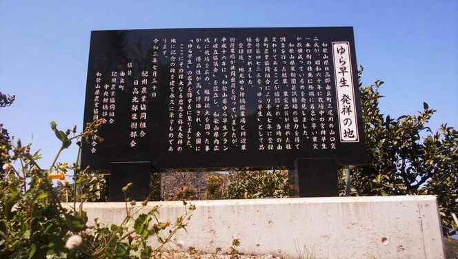 【先行予約】和歌山由良町産 由良早生みかん 約10kg 訳あり キズ 御家庭用 サイズ混合【SL4】 303446_CG90004