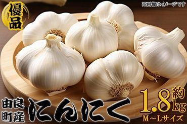 由良町産にんにく 優品 約1.8kg(900g×2/M〜Lサイズ)[SL18] 303446_CG90015