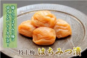 紀州南高梅 はちみつ梅 850g×1箱 ［Kn2］ 303446_CQ002