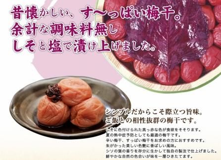 紀州南高梅 しそ漬梅 850ｇ×1箱 ［Kn4］ 303446_CQ004