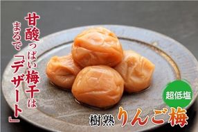 紀州南高梅 りんご梅 850g×1箱 ［Kn5］ 303446_CQ005