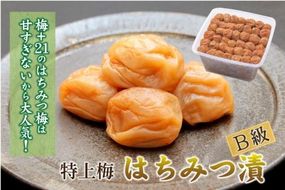 紀州南高梅 徳用 はちみつ梅 1.5kg×1箱 ［Kn7］ 303446_CQ007