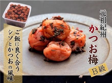 ya̎R쒬zIB썂~ p IB~ 1.5kg×1 mKn8n 303446_CQ008