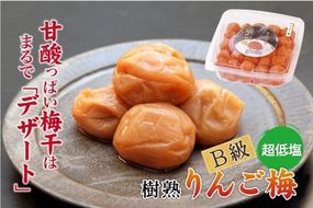 紀州南高梅 徳用 りんご梅 1.5kg×1箱 ［Kn10］ 303446_CQ010