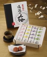 極選の梅 木箱 1箱20粒入り ［Kn12］ 303446_CQ012