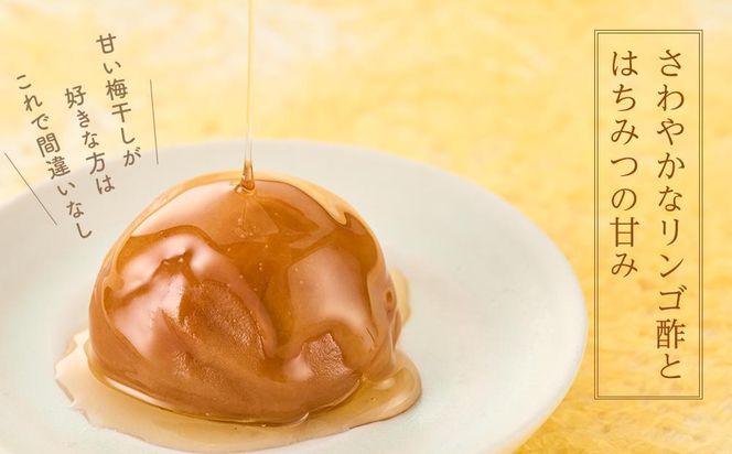 紀州南高梅 蜂蜜つぶれ梅 塩分5％ 2kg (500g×4) ［Kn23］ 303446_CQ023