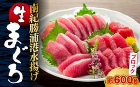 生まぐろの本場紀州勝浦から直送！生メバチマグロ 600g 303446_CZ90001