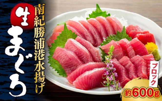 生まぐろの本場紀州勝浦から直送！生メバチマグロ 600g 303446_CZ90001