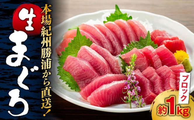 生まぐろの本場紀州勝浦から直送！生メバチマグロ 約1kg 303446_CZ90002