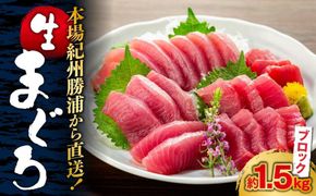 生まぐろの本場紀州勝浦から直送！生メバチマグロ 約1.5kg 303446_CZ90003