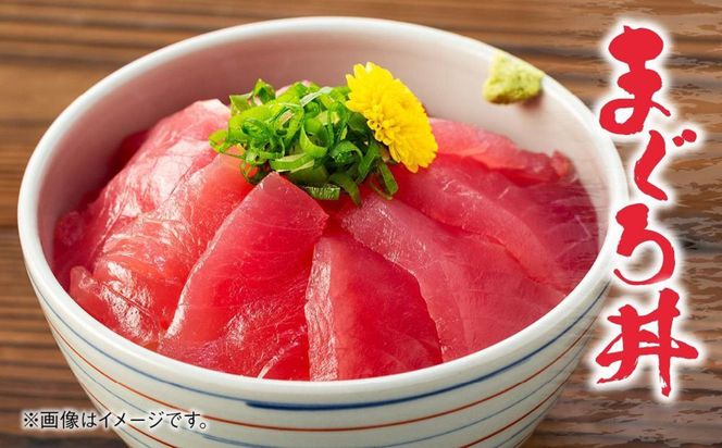 【定期便全5回】生まぐろの本場紀州勝浦から直送！ 生メバチマグロ 約600g（1カ月に1回お届け）（全5ヵ月） 303446_CZ90004