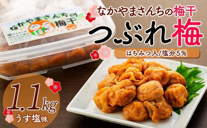 なかやまさんちの梅干（1.1kg×1箱）うす塩（はちみつ入）塩分5％【訳あり】【つぶれ梅】 303446_DB004