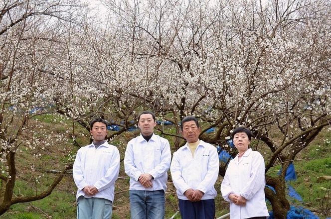 なかやまさんちの梅干（550g×1箱）かつお風味（はちみつ入）塩分5％【訳あり】【つぶれ梅】 303446_DB008