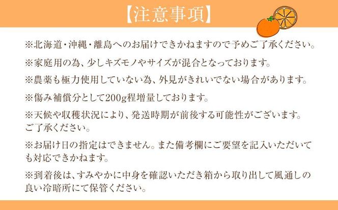 家庭用 森本農園の手選別 極早生みかん 5kg +200g傷み補償付 和歌山県産 2S~2Lサイズ混合 【北海道・沖縄・離島配送不可】【RN2】 303446_DJ90002