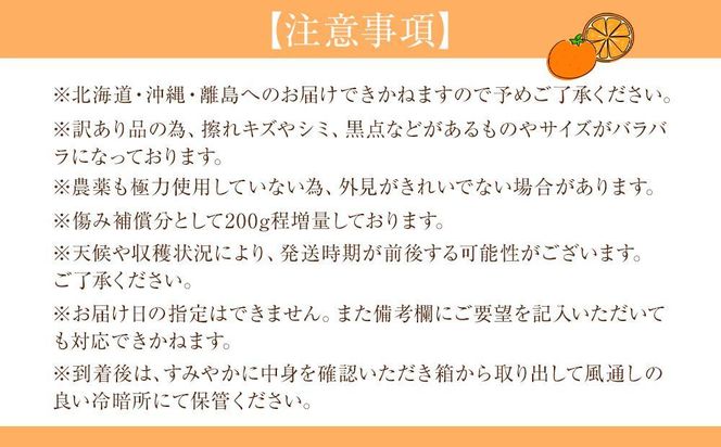 訳あり 森本農園の手選別 極早生みかん 7kg +200g傷み補償付 和歌山県産 2S~2Lサイズ混合 【北海道・沖縄・離島配送不可】【RN4】 303446_DJ90004