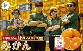 訳あり 森本農園の手選別 みかん 7kg +200g傷み補償付 和歌山県産 2S~2Lサイズ混合 【北海道・沖縄・離島配送不可】【RN9】 303446_DJ90009