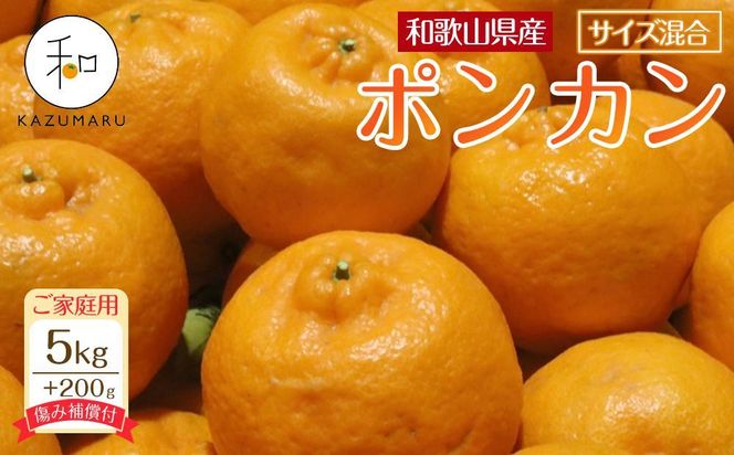 家庭用 森本農園の手選別 ポンカン 5kg  +200g傷み補償付 和歌山県産 サイズ混合 【北海道・沖縄・離島配送不可】【RN12】 303446_DJ90012