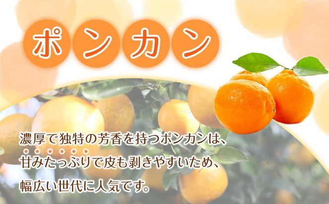 家庭用 森本農園の手選別 ポンカン 5kg  +200g傷み補償付 和歌山県産 サイズ混合 【北海道・沖縄・離島配送不可】【RN12】 303446_DJ90012