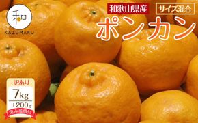 訳あり 森本農園の手選別 ポンカン 7kg  +200g傷み補償付 和歌山県産 サイズ混合 【北海道・沖縄・離島配送不可】【RN14】 303446_DJ90014