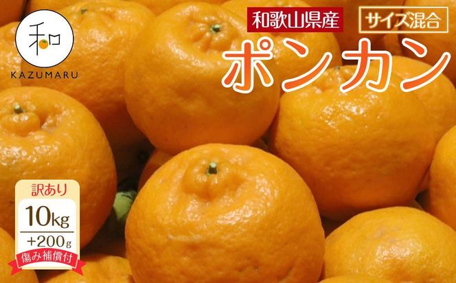 訳あり 森本農園の手選別 ポンカン 10kg  +200g傷み補償付 和歌山県産 サイズ混合 【北海道・沖縄・離島配送不可】【RN15】 303446_DJ90015