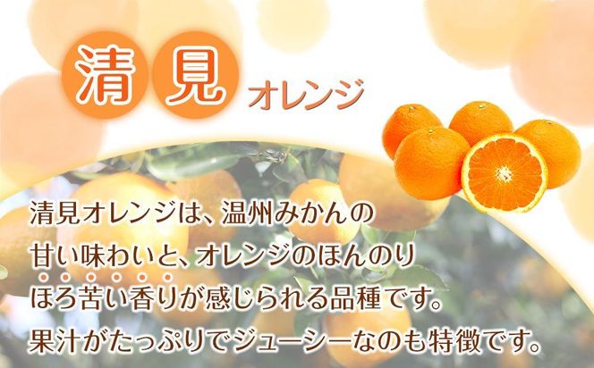 家庭用 森本農園の手選別 清見オレンジ 5kg +200g傷み補償付 和歌山県産 サイズ混合 【北海道・沖縄・離島配送不可】【RN22】 303446_DJ90022