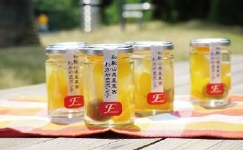 ya̎R쒬z킩܃|`@U{ZbgmFN2n 303446_E003