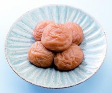 はちみつ梅干し７００ｇ〔化粧箱入り〕《紀州南高梅》 303446_XD90016