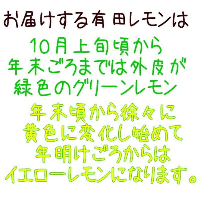 紀州 和歌山 有田 レモン 和歌山県産 約2kg【農家直送】【先行予約・2024年10月上旬～2025年1月下旬発送】 303446_XD90091