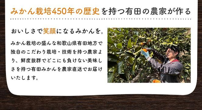 ご家庭用 濃厚完熟 有田みかん 約4kg【先行予約 2024年11月発送予定 】【MS3-1】 303446_XD90129