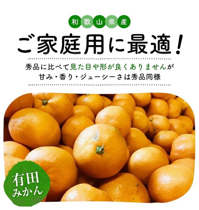 ご家庭用 濃厚完熟 有田みかん 約4kg【先行予約 2024年11月発送予定 】【MS3-1】 303446_XD90129