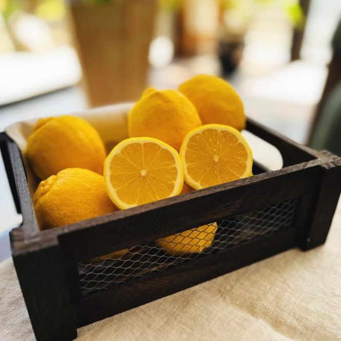 紀州和歌山 ご家庭用 有田 レモン 3kg［先行予約］［MS70］ 303446_XD90221