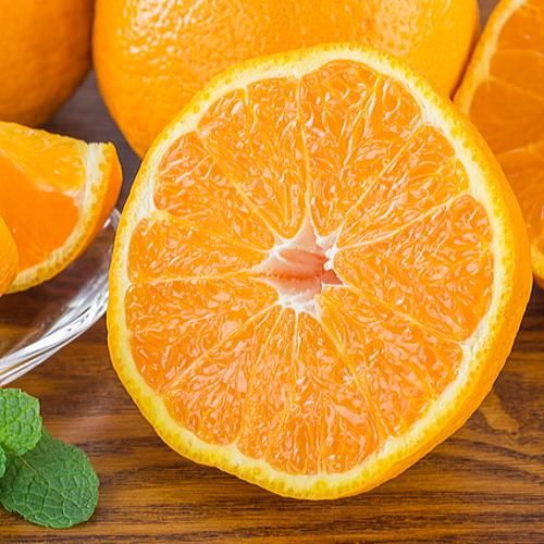 和歌山有田の濃厚大玉デコポン 12～15玉 約5kg［先行予約］［MS79］ 303446_XD90230