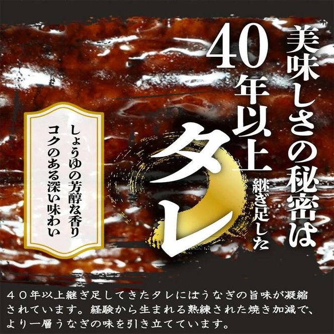 大型サイズ 　ふっくら柔らか国産うなぎ蒲焼き　1尾（約2人前）化粧箱入 303446_XF003