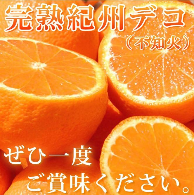 完熟紀州デコ(不知火) 約3kg　果肉プリプリ♪【2025年2月下旬以降発送】【先行予約】【UT42】 303446_XF035