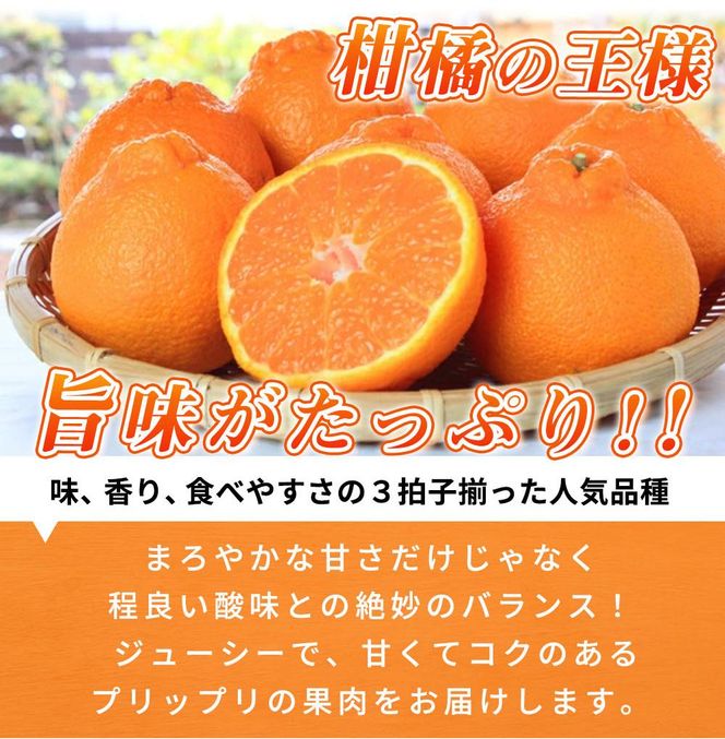 完熟紀州デコ(不知火) 約3kg　果肉プリプリ♪【2025年2月下旬以降発送】【先行予約】【UT42】 303446_XF035