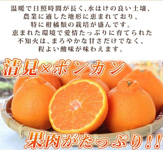 紀州有田産不知火(しらぬひ) 約５kg【2025年2月中旬以降発送】【先行予約】【UT40】 303446_XF037