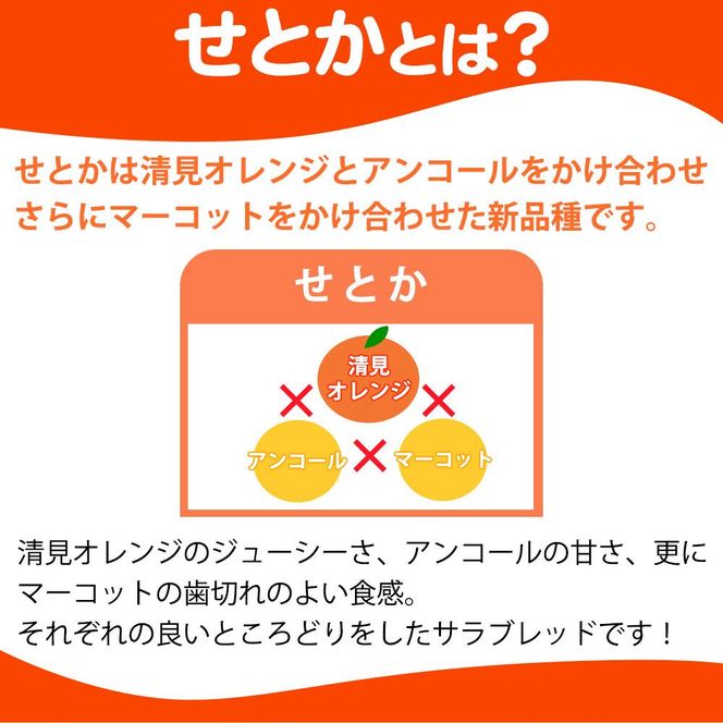 紀州有田産せとか約3kg　とろける食感！ジューシー柑橘【2025年2月下旬以降発送】【先行予約】【UT03】 303446_XF039