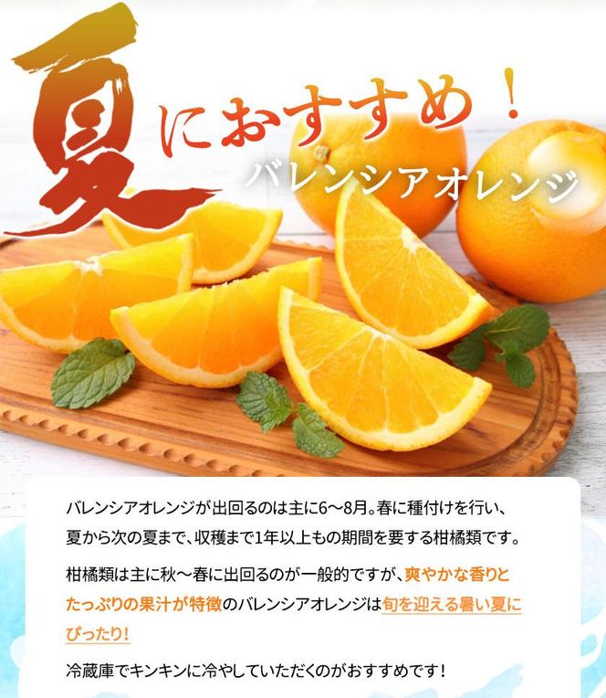 希少な国産バレンシアオレンジ 7kg【ご家庭用訳あり】【2025年6月下旬頃～2025年7月上旬頃に順次発送】【UT77】 303446_XF047