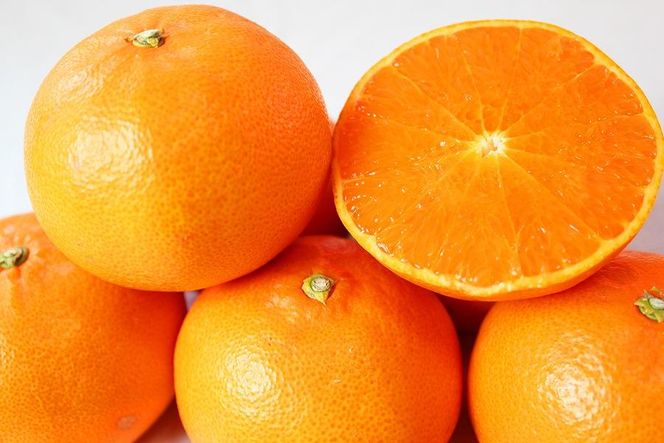 紀州有田産せとか約2.5kg　とろける食感！ジューシー柑橘【2026年2月上旬以降発送】【先行予約】【UT02】 303446_XF91017