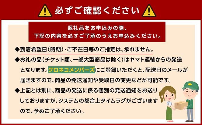 紀州有田産せとか約2.5kg　とろける食感！ジューシー柑橘【2025年2月上旬以降発送】【先行予約】【UT02】 303446_XF91017