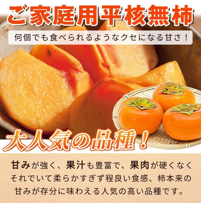 【ご家庭用】平核無柿（ひらたねなしがき）約３.５kg 和歌山秋の味覚【2024年発送】【UT31】 303446_XF91047