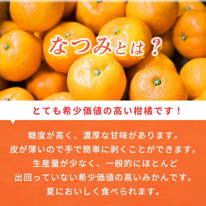 初夏のみかん　なつみ3kg【2025年4月中旬以降発送】【先行予約】【UT56】 303446_XF91064