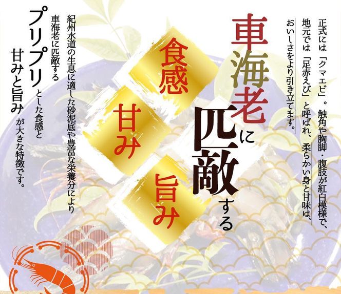 紀州和歌山産天然足赤えび540g×2箱（270g×4パック）　化粧箱入【2024年11月上旬頃～2025年2月上旬頃に順次発送】【UT24】 303446_XF91081